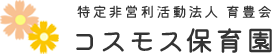 コスモス保育園｜新宿区にある東京都認定保育所